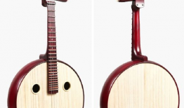 中阮初级入门教学视频,中阮初级入门教学视频要点梳理